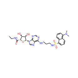 CCNC(=O)[C@H]1O[C@@H](n2cnc3c(NCCCNS(=O)(=O)c4cccc5c(N(C)C)cccc45)ncnc32)[C@H](O)[C@@H]1O ZINC000049771945