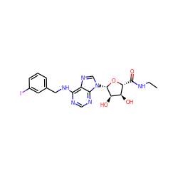 CCNC(=O)[C@H]1O[C@@H](n2cnc3c(NCc4cccc(I)c4)ncnc32)[C@H](O)[C@@H]1O ZINC000012405576