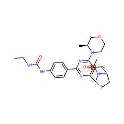 CCNC(=O)Nc1ccc(-c2nc3c(c(N4CCOC[C@@H]4C)n2)C[C@@H]2CC[C@H]3N2C(C)=O)cc1 ZINC000095592072