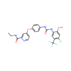 CCNC(=O)c1cc(Oc2ccc(NC(=O)Nc3cc(C(F)(F)F)c(Cl)cc3OC)cc2)ccn1 ZINC000034272667