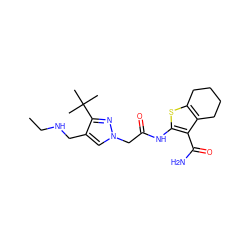 CCNCc1cn(CC(=O)Nc2sc3c(c2C(N)=O)CCCC3)nc1C(C)(C)C ZINC000064549556