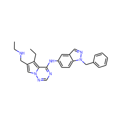 CCNCc1cn2ncnc(Nc3ccc4c(cnn4Cc4ccccc4)c3)c2c1CC ZINC000014954082