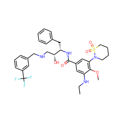 CCNc1cc(C(=O)N[C@@H](Cc2ccccc2)[C@H](O)CNCc2cccc(C(F)(F)F)c2)cc(N2CCCCS2(=O)=O)c1OC ZINC000049888934