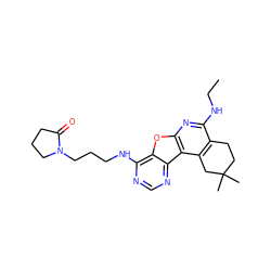 CCNc1nc2oc3c(NCCCN4CCCC4=O)ncnc3c2c2c1CCC(C)(C)C2 ZINC000043152220