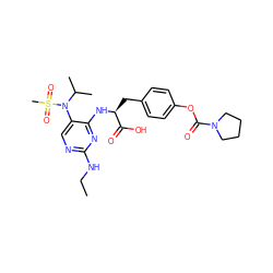 CCNc1ncc(N(C(C)C)S(C)(=O)=O)c(N[C@@H](Cc2ccc(OC(=O)N3CCCC3)cc2)C(=O)O)n1 ZINC000096273512