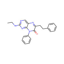 CCNc1ncc2nc(CCc3ccccc3)c(=O)n(-c3ccccc3)c2n1 ZINC000004238311