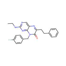 CCNc1ncc2nc(CCc3ccccc3)c(=O)n(Cc3ccc(F)cc3)c2n1 ZINC000004238666