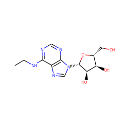 CCNc1ncnc2c1ncn2[C@@H]1O[C@H](CO)[C@@H](O)[C@H]1O ZINC000012405455