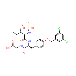 CCO[P@](=O)(O)N[C@H](C(=O)N[C@@H](Cc1ccc(OCc2cc(Cl)cc(Cl)c2)cc1)C(=O)NCC(=O)O)[C@@H](C)CC ZINC000026651106