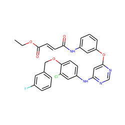 CCOC(=O)/C=C/C(=O)Nc1cccc(Oc2cc(Nc3ccc(OCc4cccc(F)c4)c(Cl)c3)ncn2)c1 ZINC000082153774