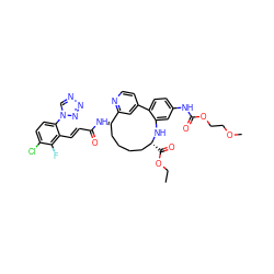 CCOC(=O)[C@@H]1CCCC[C@H](NC(=O)/C=C/c2c(-n3cnnn3)ccc(Cl)c2F)c2cc(ccn2)-c2ccc(NC(=O)OCCOC)cc2N1 ZINC000203924548