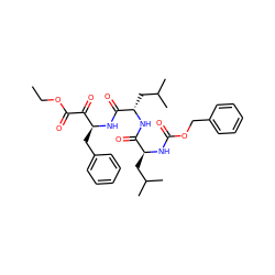 CCOC(=O)C(=O)[C@H](Cc1ccccc1)NC(=O)[C@H](CC(C)C)NC(=O)[C@H](CC(C)C)NC(=O)OCc1ccccc1 ZINC000169319145