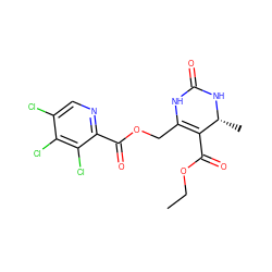 CCOC(=O)C1=C(COC(=O)c2ncc(Cl)c(Cl)c2Cl)NC(=O)N[C@@H]1C ZINC000013011814