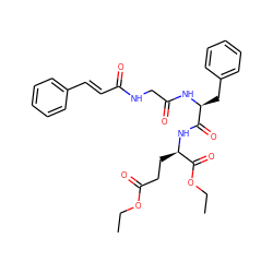 CCOC(=O)CC[C@@H](NC(=O)[C@H](Cc1ccccc1)NC(=O)CNC(=O)/C=C/c1ccccc1)C(=O)OCC ZINC001772597490