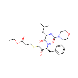 CCOC(=O)CCSCC(=O)[C@H](Cc1ccccc1)NC(=O)[C@H](CC(C)C)NC(=O)N1CCOCC1 ZINC000013472281