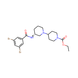 CCOC(=O)N1CCC(N2CCC[C@@H](NC(=O)c3cc(Br)cc(Br)c3)C2)CC1 ZINC000095593460