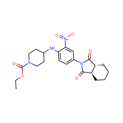 CCOC(=O)N1CCC(Nc2ccc(N3C(=O)[C@@H]4CCCC[C@H]4C3=O)cc2[N+](=O)[O-])CC1 ZINC000013136757