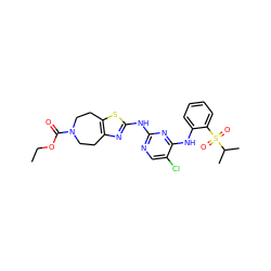 CCOC(=O)N1CCc2nc(Nc3ncc(Cl)c(Nc4ccccc4S(=O)(=O)C(C)C)n3)sc2CC1 ZINC000299824833