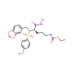 CCOC(=O)NCCC[C@H](C(=O)NO)N(Cc1ccc2c(c1)OCO2)S(=O)(=O)c1ccc(OC)cc1 ZINC000026189060