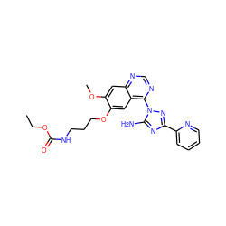 CCOC(=O)NCCCOc1cc2c(-n3nc(-c4ccccn4)nc3N)ncnc2cc1OC ZINC000653693467