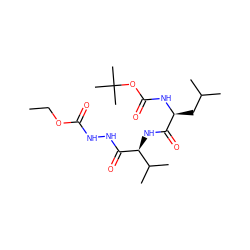 CCOC(=O)NNC(=O)[C@@H](NC(=O)[C@H](CC(C)C)NC(=O)OC(C)(C)C)C(C)C ZINC000013491226