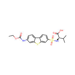 CCOC(=O)Nc1ccc2c(c1)sc1cc(S(=O)(=O)N[C@@H](C(=O)O)C(C)C)ccc12 ZINC000043120102