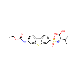 CCOC(=O)Nc1ccc2c(c1)sc1cc(S(=O)(=O)N[C@H](C(=O)O)C(C)C)ccc12 ZINC000043120101