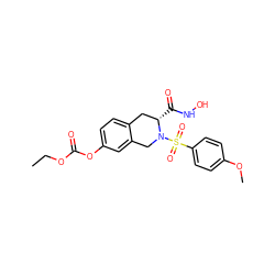 CCOC(=O)Oc1ccc2c(c1)CN(S(=O)(=O)c1ccc(OC)cc1)[C@@H](C(=O)NO)C2 ZINC000013797757