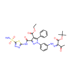 CCOC(=O)c1c(C(=O)Nc2nnc(S(N)(=O)=O)s2)nn(-c2cccc(N/N=C(/C(C)=O)C(=O)OC(C)(C)C)c2)c1-c1ccccc1 ZINC000072136393
