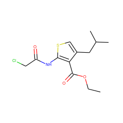 CCOC(=O)c1c(CC(C)C)csc1NC(=O)CCl ZINC000003886331