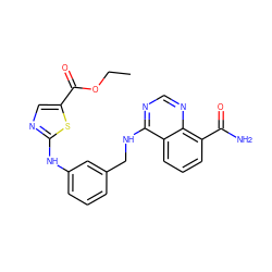 CCOC(=O)c1cnc(Nc2cccc(CNc3ncnc4c(C(N)=O)cccc34)c2)s1 ZINC000114345386