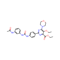 CCOC(=O)c1nc(-c2ccc(NC(=O)Nc3cccc(NC(C)=O)c3)cc2)nc(N2CCOCC2)c1OCC ZINC000118173752