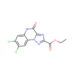 CCOC(=O)c1nc2c(=O)[nH]c3cc(Cl)c(Cl)cc3n2n1 ZINC000013798613