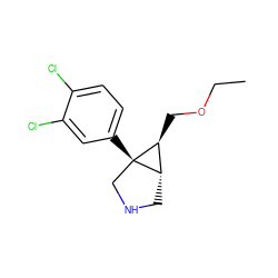 CCOC[C@H]1[C@@H]2CNC[C@@]21c1ccc(Cl)c(Cl)c1 ZINC000043197502