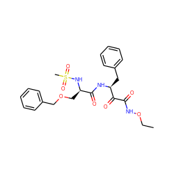 CCONC(=O)C(=O)[C@H](Cc1ccccc1)NC(=O)[C@@H](COCc1ccccc1)NS(C)(=O)=O ZINC000026576867