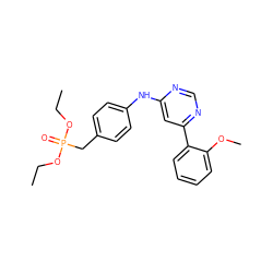 CCOP(=O)(Cc1ccc(Nc2cc(-c3ccccc3OC)ncn2)cc1)OCC ZINC000169342912