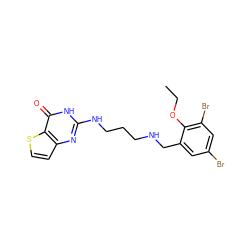 CCOc1c(Br)cc(Br)cc1CNCCCNc1nc2ccsc2c(=O)[nH]1 ZINC000028356818