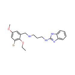 CCOc1c(Br)cc(OC)cc1CNCCCNc1nc2ccccc2[nH]1 ZINC000028365196