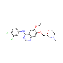 CCOc1cc2c(Nc3ccc(Cl)c(Cl)c3)ncnc2cc1OC[C@@H]1CN(C)CCO1 ZINC000114821064