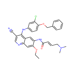 CCOc1cc2ncc(C#N)c(Nc3ccc(OCc4ccccc4)c(Cl)c3)c2cc1NC(=O)/C=C/CN(C)C ZINC000028125472