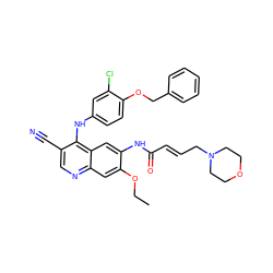 CCOc1cc2ncc(C#N)c(Nc3ccc(OCc4ccccc4)c(Cl)c3)c2cc1NC(=O)/C=C/CN1CCOCC1 ZINC000028113730