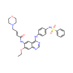 CCOc1cc2ncnc(Nc3ccc(NS(=O)(=O)c4ccccc4)cc3)c2cc1NC(=O)/C=C/CN1CCOCC1 ZINC001772592467