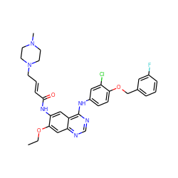 CCOc1cc2ncnc(Nc3ccc(OCc4cccc(F)c4)c(Cl)c3)c2cc1NC(=O)/C=C/CN1CCN(C)CC1 ZINC001772600599