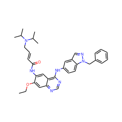 CCOc1cc2ncnc(Nc3ccc4c(cnn4Cc4ccccc4)c3)c2cc1NC(=O)/C=C/CN(C(C)C)C(C)C ZINC001772651332