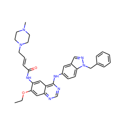 CCOc1cc2ncnc(Nc3ccc4c(cnn4Cc4ccccc4)c3)c2cc1NC(=O)/C=C/CN1CCN(C)CC1 ZINC001772601998