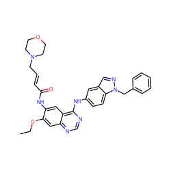 CCOc1cc2ncnc(Nc3ccc4c(cnn4Cc4ccccc4)c3)c2cc1NC(=O)/C=C/CN1CCOCC1 ZINC001772573178