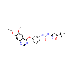 CCOc1cc2ncnc(Oc3cccc(NC(=O)Nc4cc(C(C)(C)C)on4)c3)c2cc1OC ZINC000072181078