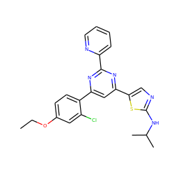 CCOc1ccc(-c2cc(-c3cnc(NC(C)C)s3)nc(-c3ccccn3)n2)c(Cl)c1 ZINC000084671856