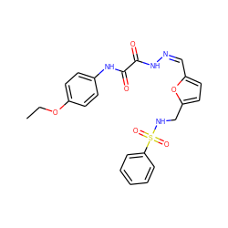 CCOc1ccc(NC(=O)C(=O)N/N=C\c2ccc(CNS(=O)(=O)c3ccccc3)o2)cc1 ZINC000013151506