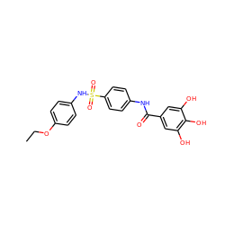 CCOc1ccc(NS(=O)(=O)c2ccc(NC(=O)c3cc(O)c(O)c(O)c3)cc2)cc1 ZINC000043023410